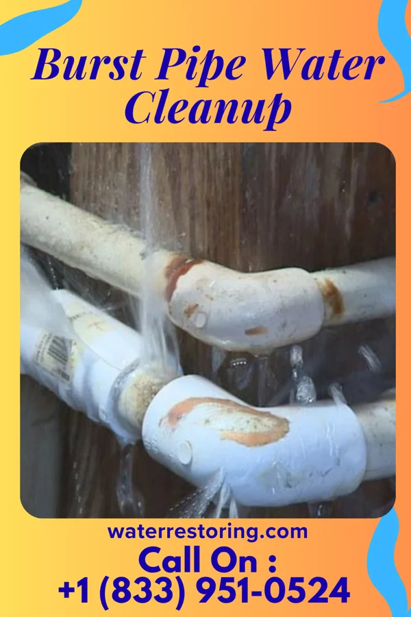 Burst Pipe Water Cleanup in Carter Lake, IA